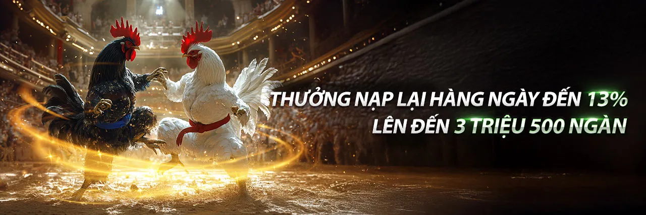Hình ảnh Câu lạc bộ VIP Q888NOW với các đặc quyền độc quyền