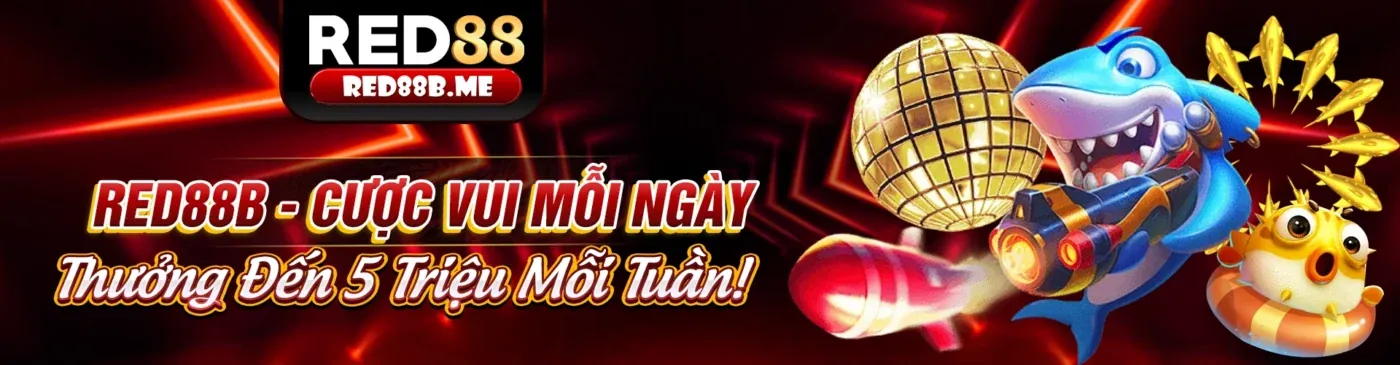 Các Chương Trình Khuyến Mãi Hấp Dẫn của q888now